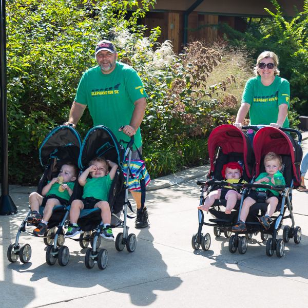 Family pushing strollers