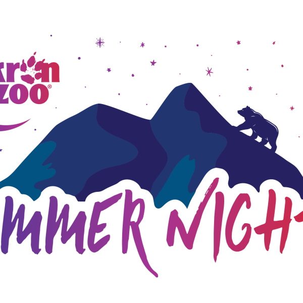 Summer Nights logo