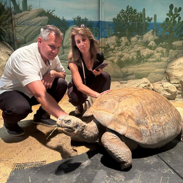 Two guests meet Boxie the galapagos tortoise