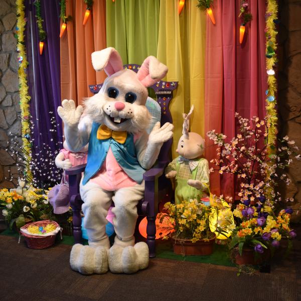 The bunny