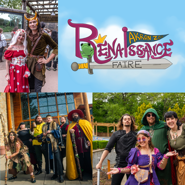 Renaissance Faire