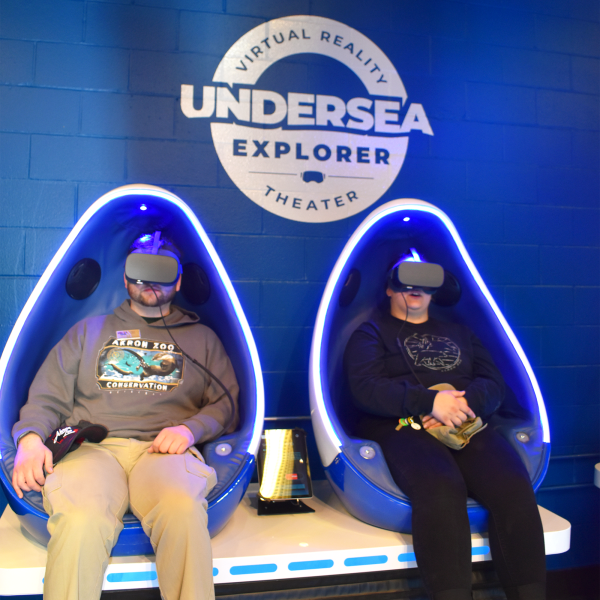 guests on virtual reality experience