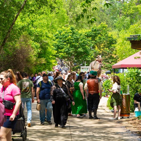 Crowds in front of animatronic dinosaur