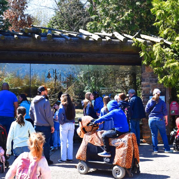 Crowd wearing blue in front of habitat