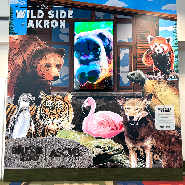 Akron Zoo mural at JSK Center