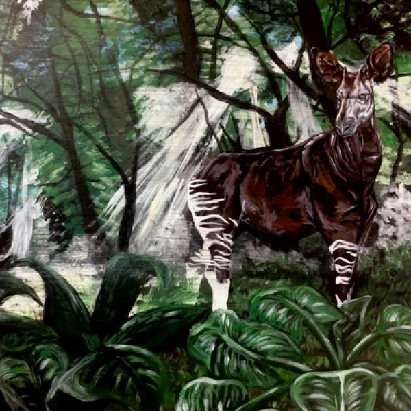 Okapi Drawing