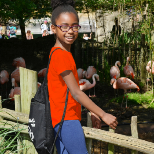 child at Akron Zoo
