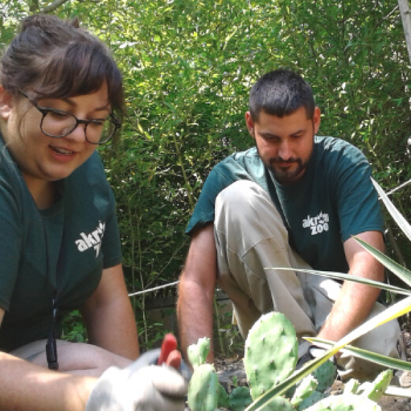 Zoo Staff