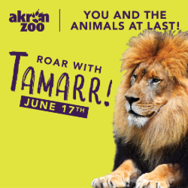 Tamarr