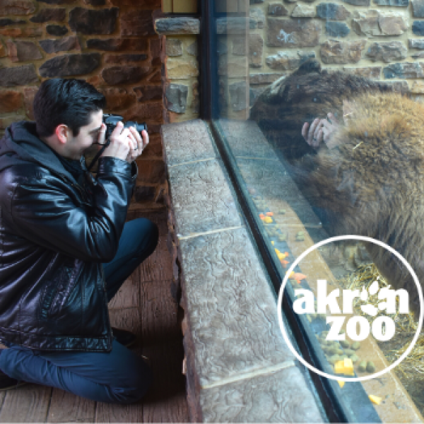 photography contest