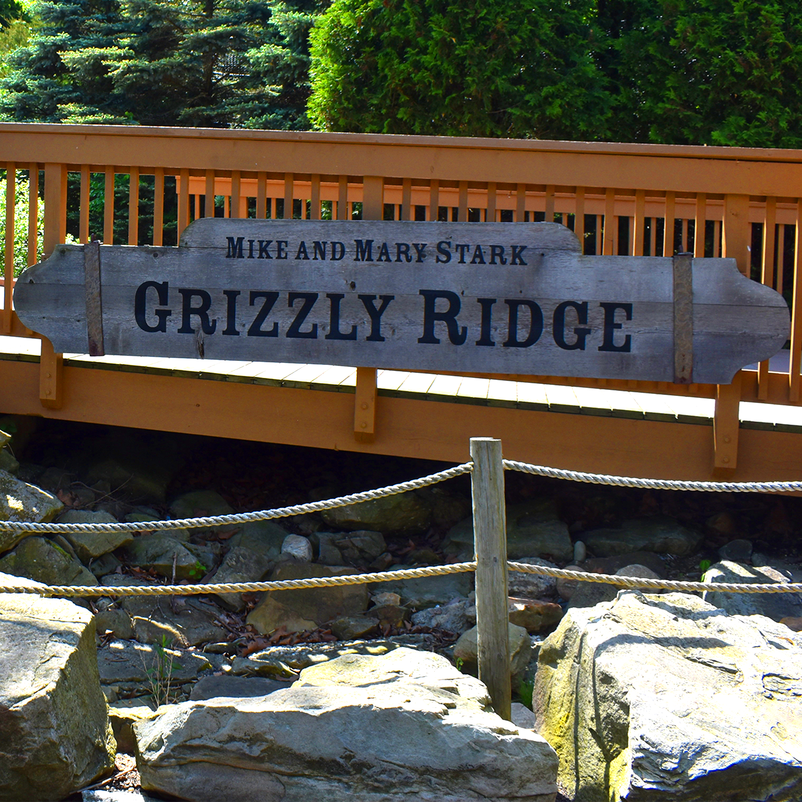 The Grizzly Ridge in Akron Zoo
